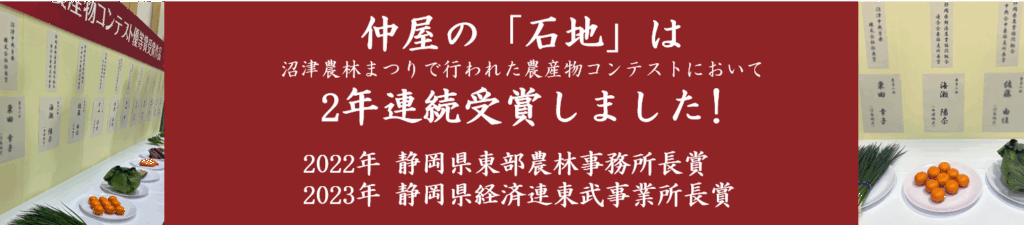 仲屋の「石地」は2年連続受賞しました！