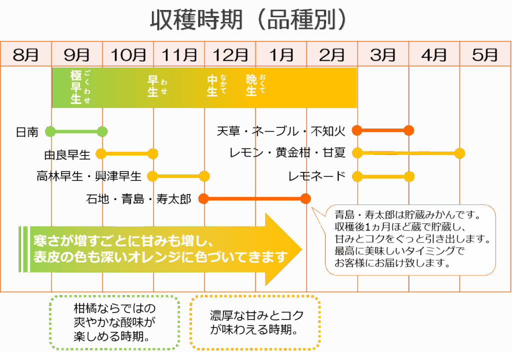 収穫時期(品種別)