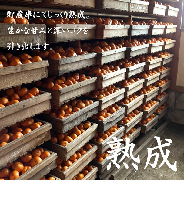 貯蔵庫にてじっくり熟成。豊かな甘みと深いコクを引き出します。
